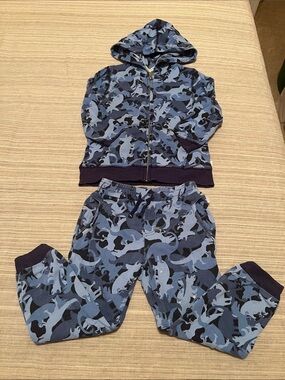 Flapdoodles Hoodie and Sweatpants Set